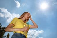La canicule va encore durer quelques jours au sud-est de la France. © New Africa, Adobe Stock